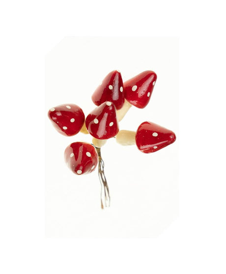 imagine produs Pick ciuperci S/6