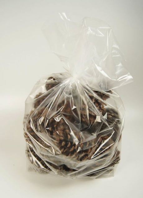 Image for Conuri pinus maritima 1kg natur