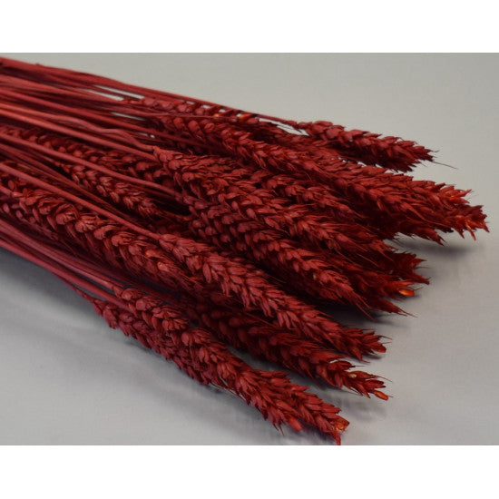 Grau fara arifte 150g rosu