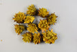 Image for Capete plumosum galben