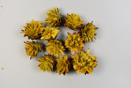 Image for Capete plumosum galben