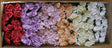 Image for Trandafiri polifoam 5cm x8 crem