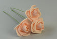 Image for Fir trandafiri polifoam 7cm S/50 piersica