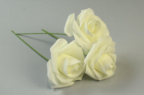 Image for Fir trandafiri 7cm S/50 crem