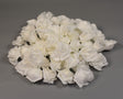 Image for Cap trandafiri polifoam 7cm S/60 alb