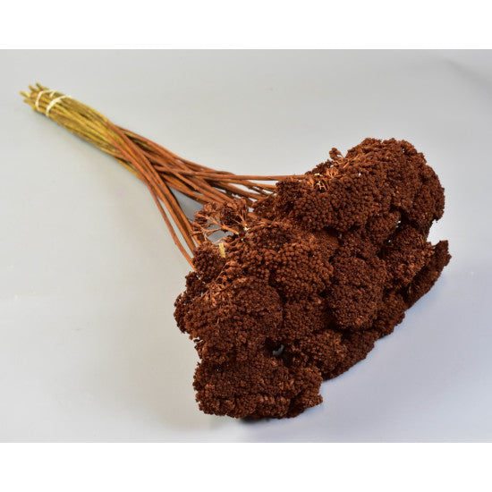 Achillea preparat maro