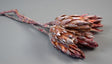 Image for Protea rosu cal.II cu chiciura
