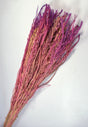 Image for Orez 100gr inalbit mov