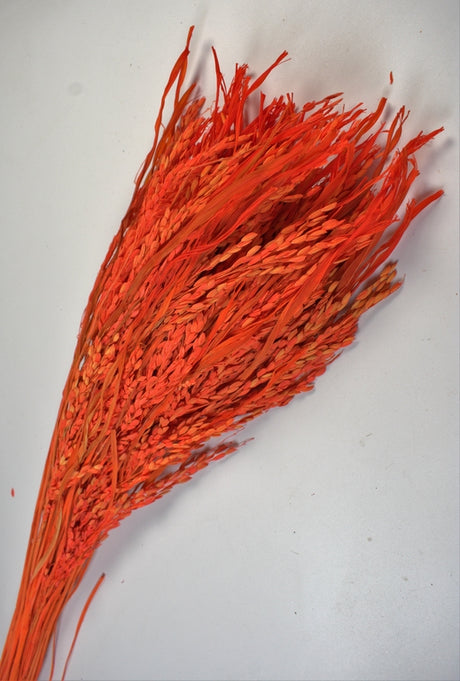 Image for Orez 100gr inalbit portocaliu