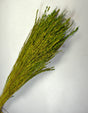 Image for Orez 100gr verde deschis