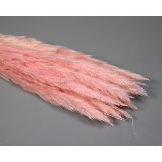 Iarba pampas mini inalbit roz