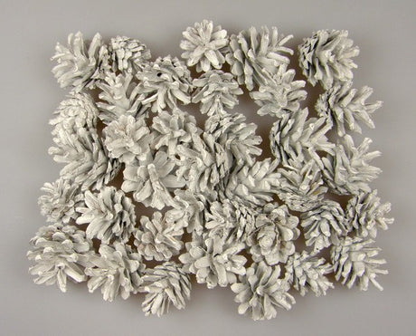 Image for Conuri de pin vopsit alb 1kg