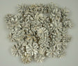 Image for Conuri de pin cu chiciura 1kg