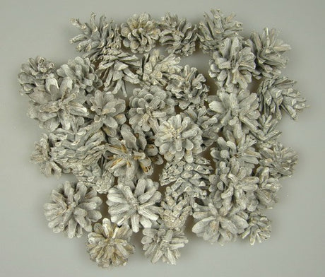 Image for Conuri de pin cu chiciura 1kg