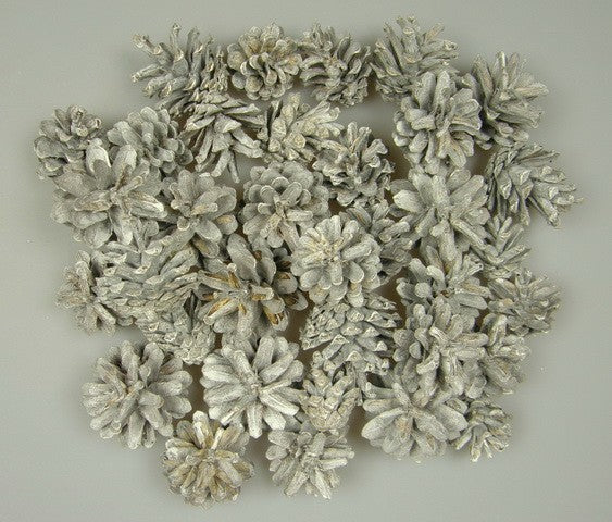 Image for Conuri de pin cu chiciura 1kg