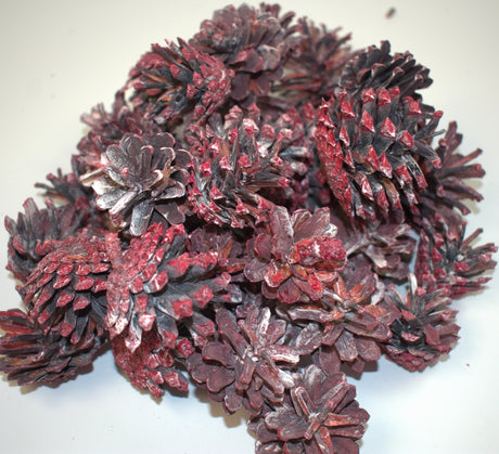 Image for Conuri trandafiri 1kg cu chiciura rosu