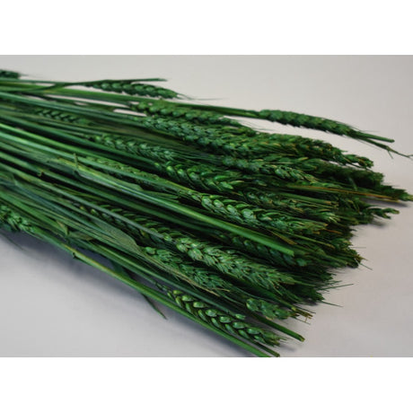 Grau fara arifte 150g verde inchis