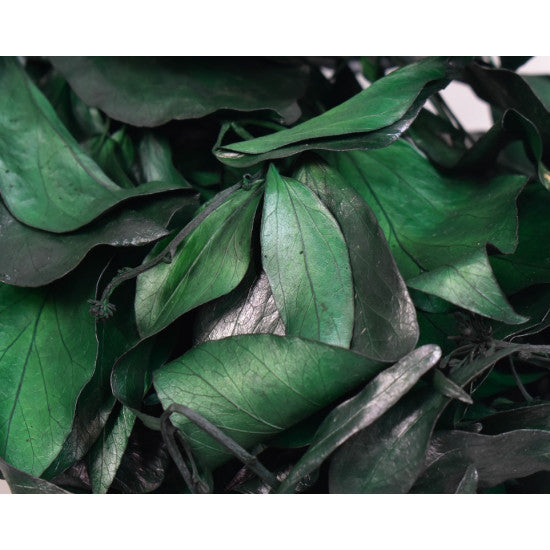 Hedera preparat verde inchis