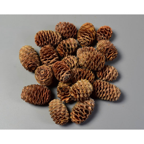 Sabulosum natur