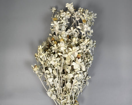 Image for Sofran 150gr vopsit alb