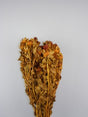 Image for Sofran 150gr portocaliu