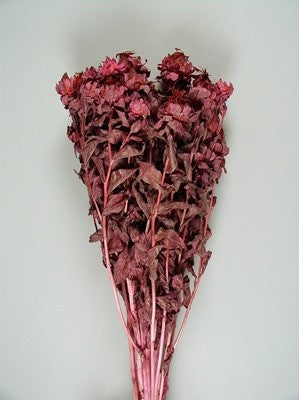 Image for Sofran 150gr roz