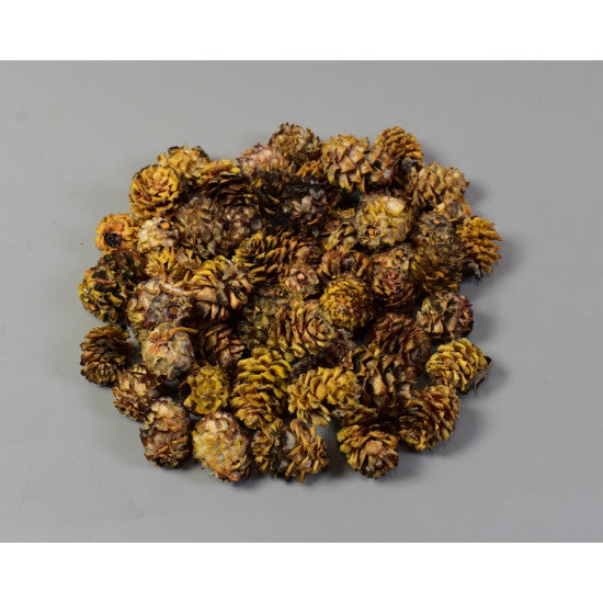 Salignum natur