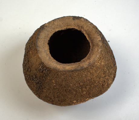 imagine produs Sapucaia
