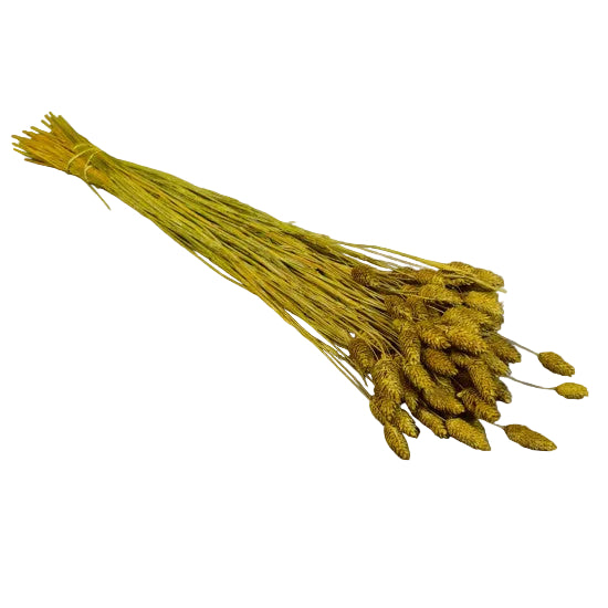 Tallaris 100gr brumat galben