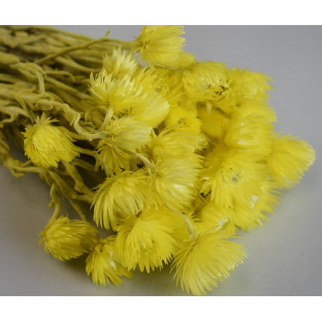 Buchet capblume 30-40cm galben