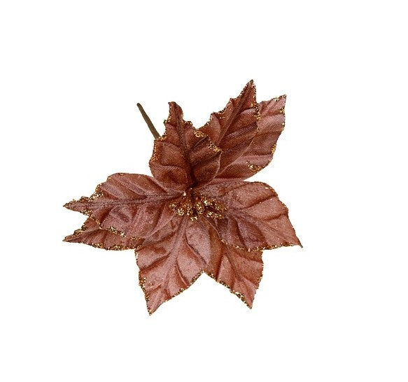 imagine produs Fir poisentia 23cm nalba