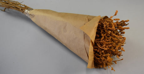 Image for Crengi bumbac 150gr portocaliu