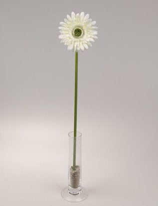 imagine produs Fir gerbera 48cm crem