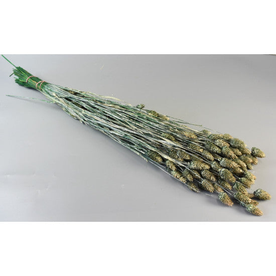Tallaris 100g brumat verde inchis