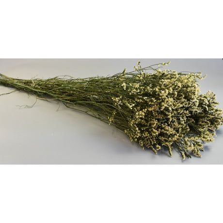 imagine produs Limonium preparat 120gr. alb