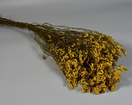 Image for Limonium sinensis prep. galben