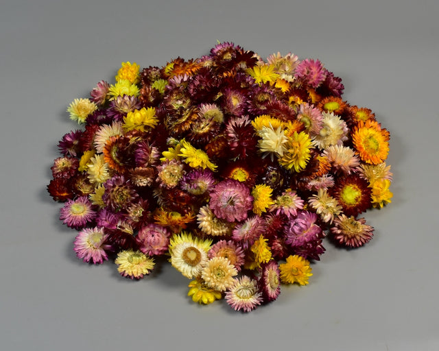 Capete flori de paie natur mixt