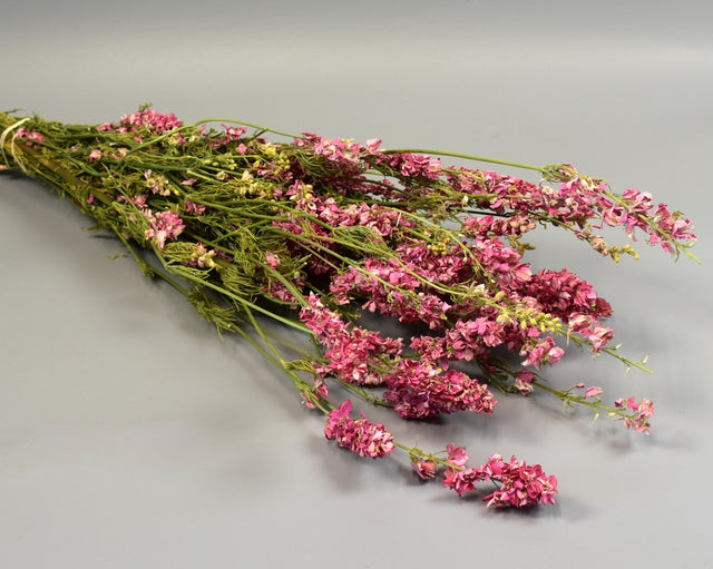 Delphinium roz natur 0.1kg/legatura