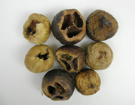 Image for Talami mic natur