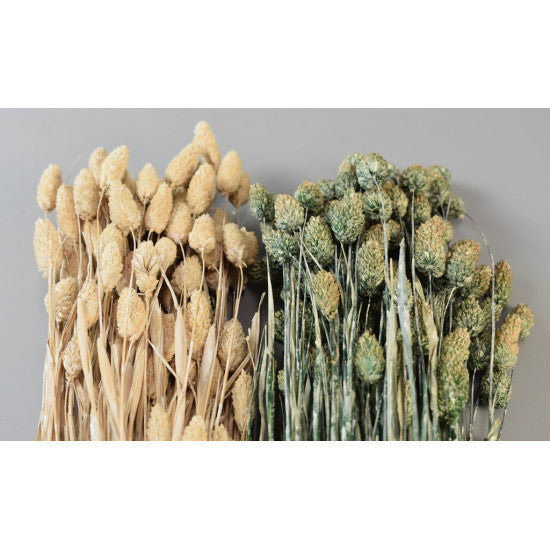 Tallaris 100gr cu chiciura