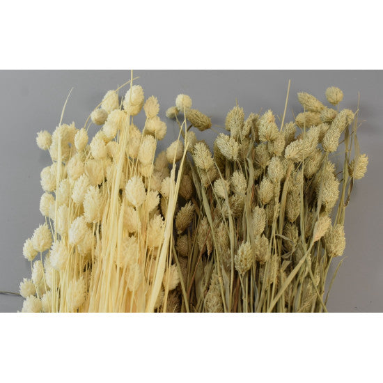 Tallaris 100gr inalbit