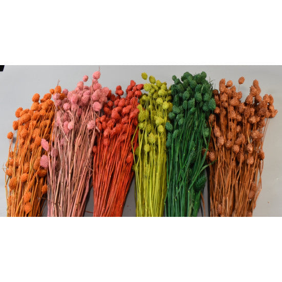 Tallaris 100g verde deschis