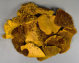 Image for Iasca inalbit galben