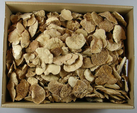 Image for Iasca inalbit 1.3kg