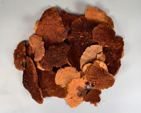 Image for Iasca  portocaliu