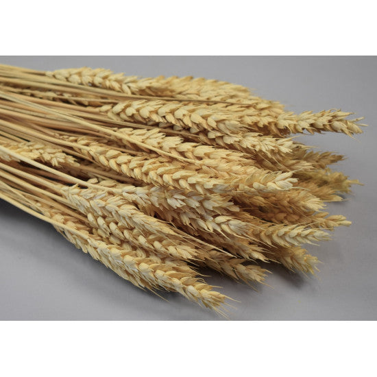 Grau fara arifte 150g inalbit