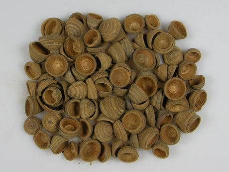Image for Cupa de ghinda cu dungi natur