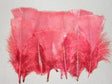 Image for Pene 10gr. bordeaux