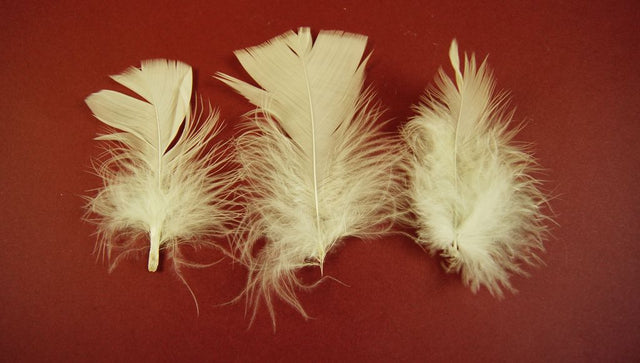 Image for Pene 10gr.crem