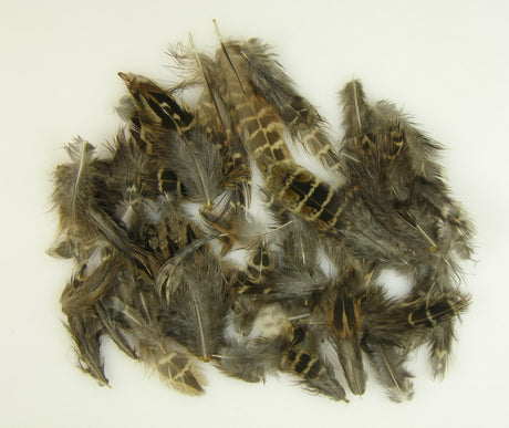 Image for Pene fazan 7gr. natur